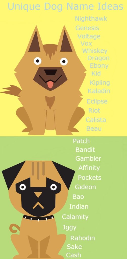 Unique Dog Names