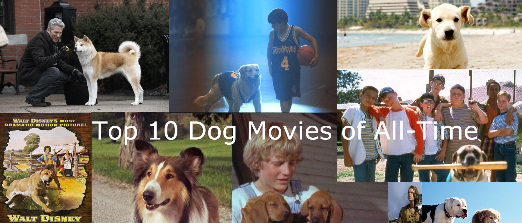 Top Dog Movies