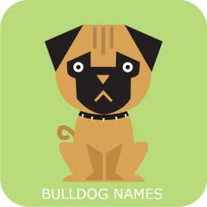 bulldog names