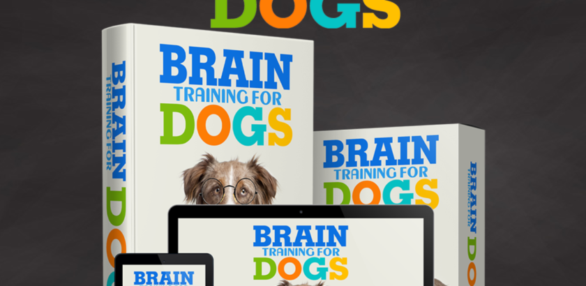 brain training for dogs review does it actually work